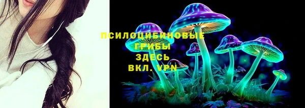 ешки Дмитров