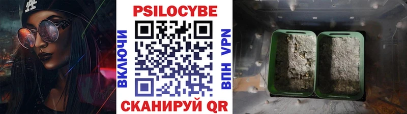 Купить закладки  Малая Вишера  Галлюциногенные грибы MAGIC MUSHROOMS 